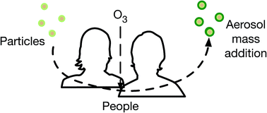 Graphical abstract: Human occupant contribution to secondary aerosol mass in the indoor environment