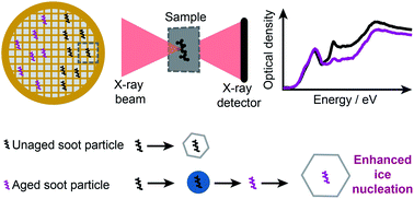 Graphical abstract: Aging induced changes in ice nucleation activity of combustion aerosol as determined by near edge X-ray absorption fine structure (NEXAFS) spectroscopy