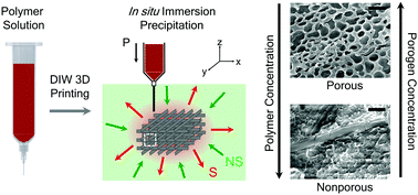 Graphical abstract: Immersion precipitation 3D printing (ip3DP)