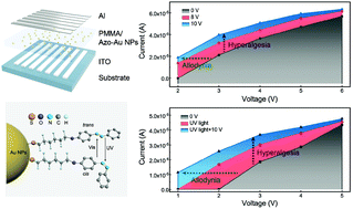 Graphical abstract: A UV damage-sensing nociceptive device for bionic applications