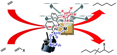 Graphical abstract: Ligand–metal secondary interactions in phosphine–sulfonate palladium and nickel catalyzed ethylene (co)polymerization