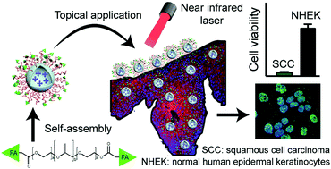 Graphical abstract: Folic acid functionalized hollow nanoparticles for selective photodynamic therapy of cutaneous squamous cell carcinoma