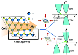 Graphical abstract: Strain induced valley degeneracy: a route to the enhancement of thermoelectric properties of monolayer WS2