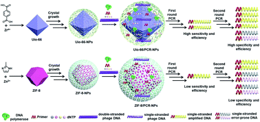 Graphical abstract: Efficient polymerase chain reaction assisted by metal–organic frameworks