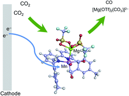 Graphical abstract: CO2 reduction by a Mn electrocatalyst in the presence of a Lewis acid: a DFT study on the reaction mechanism