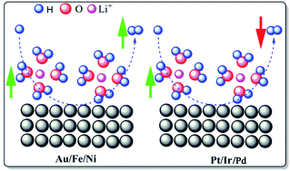 Graphical abstract: Engineering the hydrogen evolution reaction of transition metals: effect of Li ions