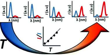 Graphical abstract: Structural designs for ratiometric temperature sensing with organic fluorophores