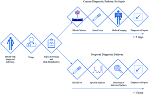 Graphical abstract: Vibrational spectroscopic analysis of blood for diagnosis of infections and sepsis: a review of requirements for a rapid diagnostic test