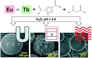 Graphical abstract: Luminescent spherical particles of lanthanide-based infinite coordination polymers with tailorable sizes