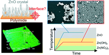 Graphical abstract: Growth manner of rod-shaped ZnO crystals at low temperature without any seed/buffer layer on a polyimide film