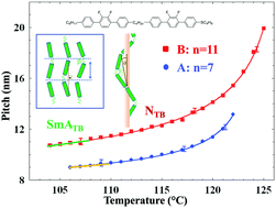 Graphical abstract: The interplay between spatial and heliconical orientational order in twist-bend nematic materials