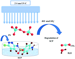 Graphical abstract: Degradation of sulfachloropyridazine by UV-C/persulfate: kinetics, key factors, degradation pathway