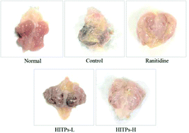 Graphical abstract: Hunan insect tea polyphenols provide protection against gastric injury induced by HCl/ethanol through an antioxidant mechanism in mice