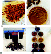 Graphical abstract: Enriching street-vended zobo (Hibiscus sabdariffa) drink with turmeric (Curcuma longa) to increase its health-supporting properties