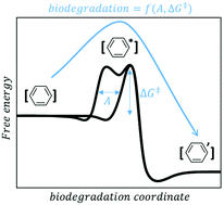 Graphical abstract: Transition-state rate theory sheds light on ‘black-box’ biodegradation algorithms