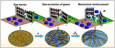 Graphical abstract: Humidity-responsive molecular gate-opening mechanism for gas separation in ultraselective nanocellulose/IL hybrid membranes