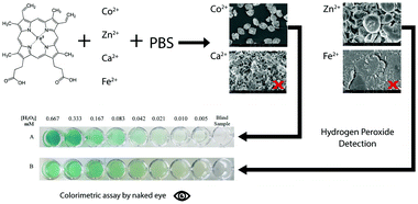 Graphical abstract: Hemoglobin–metal2+ phosphate nanoflowers with enhanced peroxidase-like activities and their performance in the visual detection of hydrogen peroxide
