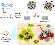 Graphical abstract: In vivo photothermal inhibition of methicillin-resistant Staphylococcus aureus infection by in situ templated formulation of pathogen-targeting phototheranostics