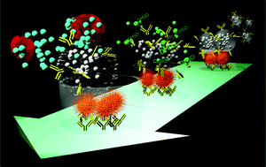 Graphical abstract: Self-assembled chromogen-loaded polymeric cocoon for respiratory virus detection