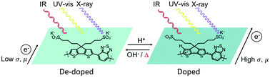 Graphical abstract: The importance of sulfonate to the self-doping mechanism of the water-soluble conjugated polyelectrolyte PCPDTBT-SO3K