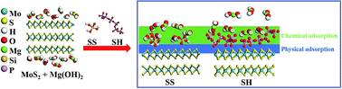 Graphical abstract: New insights into the beneficial roles of dispersants in reducing negative influence of Mg2+ on molybdenite flotation