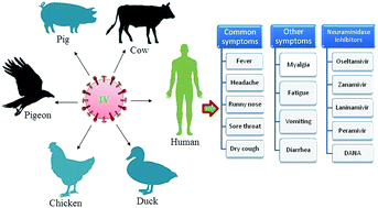 Graphical abstract: Recent progress in chemical approaches for the development of novel neuraminidase inhibitors