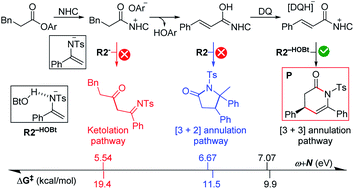 Graphical abstract: Prediction of NHC-catalyzed chemoselective functionalizations of carbonyl compounds: a general mechanistic map