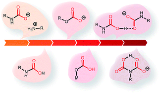 Graphical abstract: New chemistry for enhanced carbon capture: beyond ammonium carbamates