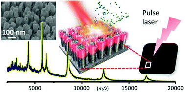 Graphical abstract: TiN nanopillar-enhanced laser desorption and ionization of various analytes