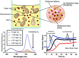 Graphical abstract: A near-infrared optical nanosensor for measuring aerobic respiration in microbial systems
