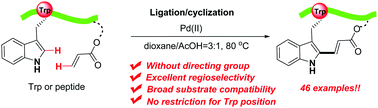 Graphical abstract: Late-stage construction of stapled peptides through Fujiwara–Moritani reaction between tryptophan and olefins