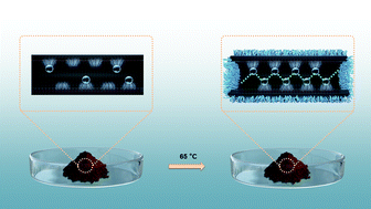 Graphical abstract: PANa/Covalent organic framework composites with improved water uptake and proton conductivity
