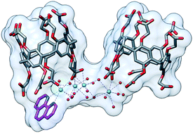 Graphical abstract: Incorporation of carboxylated pillar[5]arene and strontium(ii) into supramolecular coordination complexes of different nuclearities