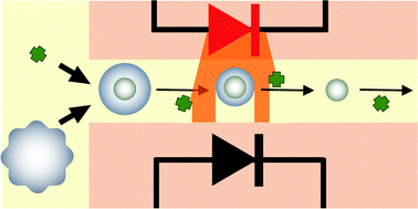 Graphical abstract: Development of an optical flow through detector for bubbles, crystals and particles in oils