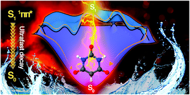 Graphical abstract: A molecular insight into the photophysics of barbituric acid, a candidate for canonical nucleobases’ ancestor