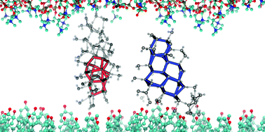 Graphical abstract: Lipid bilayers as potential ice nucleating agents