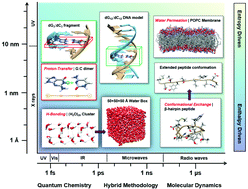 Graphical abstract: Electromagnetic bioeffects: a multiscale molecular simulation perspective