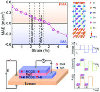Graphical abstract: Theoretical scheme of nonvolatile strain-switchable high/low resistance based on novel strain-tunable magnetic anisotropy in the Mn2.25Co0.75Ga0.5Sn0.5/MgO superlattice