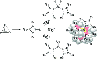 Graphical abstract: Facile synthesis of cyclo-(P4tBu3)-containing oligo- and pnictaphosphanes