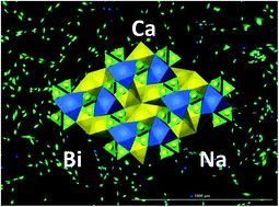 Graphical abstract: Crystal-chemical and morphological interpretation of the biocompatibility of compounds in a Ca–Na–Bi–fluorapatite system