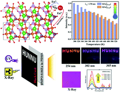 Graphical abstract: Self-reduction-induced BaMgP2O7:Eu2+/3+: a multi-stimuli-responsive phosphor for X-ray detection, anti-counterfeiting and optical thermometry