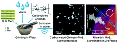 Graphical abstract: Efficient fabrication of MoS2 nanocomposites by water-assisted exfoliation for nonvolatile memories