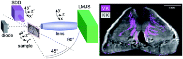 Graphical abstract: Increasing the sensitivity of micro X-ray fluorescence spectroscopy through an optimized adaptation of polycapillary lenses to a liquid metal jet source