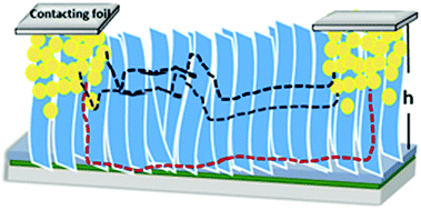 Graphical abstract: Oxygen vacancies in oxidized and reduced vertically aligned α-MoO3 nanoblades