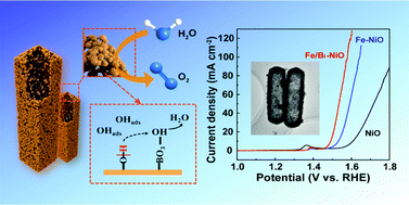 Graphical abstract: Electronic modulation and proton transfer by iron and borate co-doping for synergistically triggering the oxygen evolution reaction on a hollow NiO bipyramidal prism