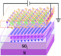 Graphical abstract: Magnetic anisotropy and ferroelectric-driven magnetic phase transition in monolayer Cr2Ge2Te6