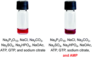 Graphical abstract: Selective sensing of adenosine monophosphate (AMP) over adenosine diphosphate (ADP), adenosine triphosphate (ATP), and inorganic phosphates with zinc(ii)-dipicolylamine-containing gold nanoparticles