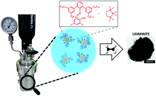 Graphical abstract: Compartmentalized polymerization in aqueous and organic media to low-entangled ultra high molecular weight polyethylene