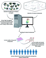 Graphical abstract: A review on potential of natural products in the management of COVID-19