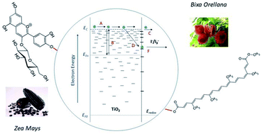 Graphical abstract: Theoretical and experimental study of solar cells based on nanostructured films of TiO2 sensitized with natural dyes extracted from Zea mays and Bixa orellana